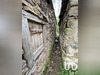 Ma-Cabane - Vente Maison Camous, 84 m²
