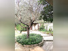 Ma-Cabane - Vente Maison Camps-la-Source, 127 m²
