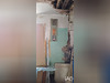 Ma-Cabane - Vente Maison Camps-la-Source, 43 m²