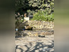 Ma-Cabane - Vente Maison Carcassonne, 139 m²