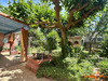 Ma-Cabane - Vente Maison CARCASSONNE, 215 m²