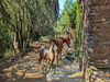 Ma-Cabane - Vente Maison CARCASSONNE, 244 m²