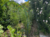 Ma-Cabane - Vente Maison Carcassonne, 135 m²