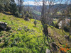 Ma-Cabane - Vente Maison CARCASSONNE, 99 m²
