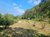 Ma-Cabane - Vente Maison Carces, 130 m²