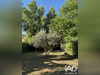 Ma-Cabane - Vente Maison Carpentras, 179 m²