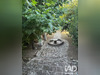 Ma-Cabane - Vente Maison Carpentras, 179 m²