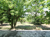 Ma-Cabane - Vente Maison CASTELJALOUX, 103 m²