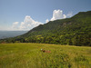 Ma-Cabane - Vente Maison CASTELLET LES SAUSSES, 20 m²