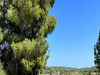 Ma-Cabane - Vente Maison Castelnau-de-Guers, 192 m²