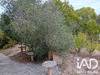 Ma-Cabane - Vente Maison Castelnau-Montratier, 141 m²