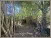 Ma-Cabane - Vente Maison CASTELNAU RIVIERE BASSE, 150 m²