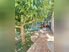 Ma-Cabane - Vente Maison Castries, 143 m²
