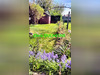 Ma-Cabane - Vente Maison CAUDRY, 90 m²