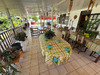 Ma-Cabane - Vente Maison CAYENNE, 112 m²