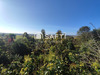 Ma-Cabane - Vente Maison Cazaubon, 263 m²