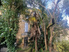 Ma-Cabane - Vente Maison CAZAUBON, 263 m²
