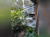 Ma-Cabane - Vente Maison Cenon, 185 m²