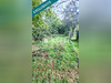Ma-Cabane - Vente Maison Cenon-sur-Vienne, 49 m²