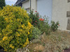 Ma-Cabane - Vente Maison CESSON SEVIGNE, 120 m²