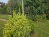 Ma-Cabane - Vente Maison CESSON SEVIGNE, 120 m²