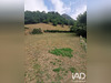 Ma-Cabane - Vente Maison Cette-Eygun, 126 m²