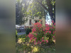 Ma-Cabane - Vente Maison Chamberet, 140 m²