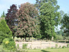 Ma-Cabane - Vente Maison Chambord, 600 m²