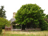 Ma-Cabane - Vente Maison CHAMPTOCE SUR LOIRE, 283 m²