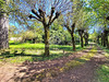 Ma-Cabane - Vente Maison Chandon, 254 m²