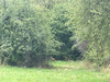 Ma-Cabane - Vente Maison CHAPELLE-GUILLAUME, 126 m²