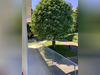 Ma-Cabane - Vente Maison Chasselay, 240 m²