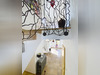 Ma-Cabane - Vente Maison CHASSIEU, 135 m²