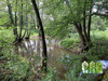 Ma-Cabane - Vente Maison Chassignolles, 234 m²