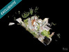 Ma-Cabane - Vente Maison Chateau-Arnoux-Saint-Auban, 126 m²