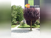 Ma-Cabane - Vente Maison CHATEAU CHALON, 402 m²