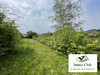 Ma-Cabane - Vente Maison Château-Chinon (Campagne), 85 m²