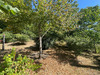 Ma-Cabane - Vente Maison CHATEAU L EVEQUE, 142 m²