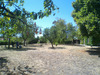 Ma-Cabane - Vente Maison CHATEAUBERNARD, 270 m²