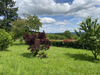 Ma-Cabane - Vente Maison Châteauneuf-la-Forêt, 155 m²