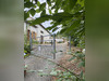 Ma-Cabane - Vente Maison Châteauneuf-la-Forêt, 95 m²