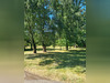 Ma-Cabane - Vente Maison CHATEAUNEUF SUR CHER, 316 m²