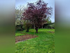 Ma-Cabane - Vente Maison Chatillon-sur-Seine, 150 m²