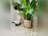 Ma-Cabane - Vente Maison Chaussin, 56 m²