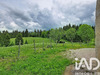 Ma-Cabane - Vente Maison Chaux-Neuve, 150 m²