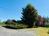 Ma-Cabane - Vente Maison CHENIERS, 105 m²