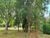 Ma-Cabane - Vente Maison Chessy-les-Pres, 120 m²