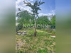 Ma-Cabane - Vente Maison CHEVERNY, 82 m²