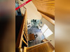 Ma-Cabane - Vente Maison CHOLET, 205 m²