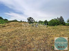 Ma-Cabane - Vente Maison CHOUZY-SUR-CISSE, 320 m²